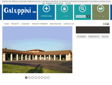 Tablet Screenshot of galuppini.it